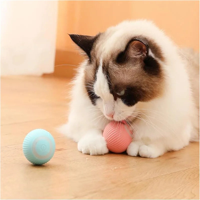 Smart Electronic Dog Toy Ball | USB Automatic Moving & Bouncing Pet Toy | Interactive Puppy Gift | Cat/Dog Products