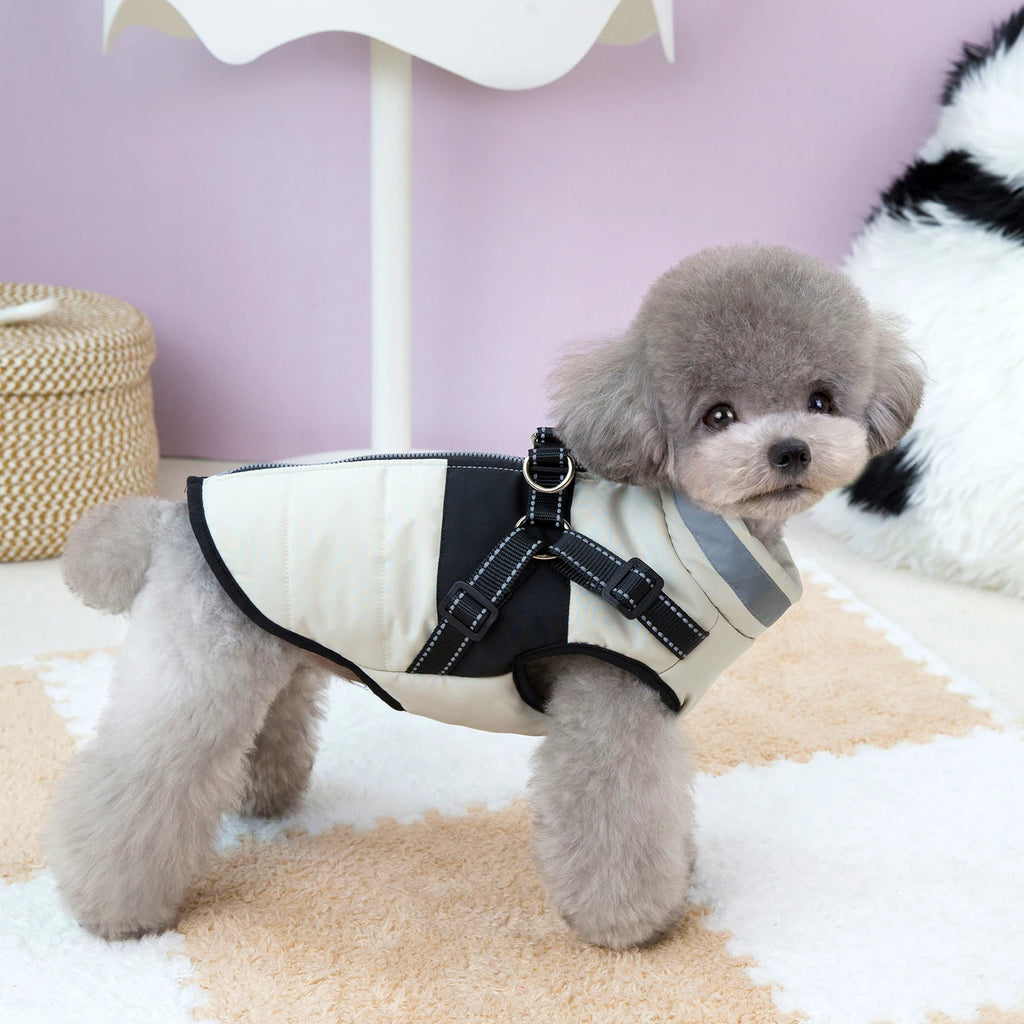 Warm Winter Clothes for Small & Medium Dogs | Windproof Puppy Jacket Vest | Chihuahua, French Bulldog & Yorkie Outfit