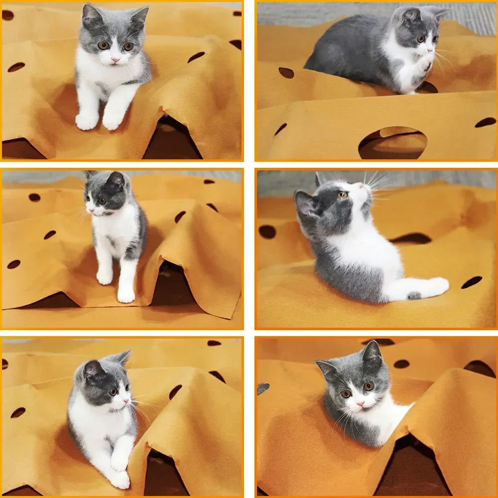 Cat Playing Game Mat | Pet Activity Rug | Training Toy | Collapsible Cat Pad | Scratch-Resistant Bite Mat | Climbing Frame | Cat Litter Mat