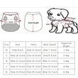Warm Winter Clothes for Small & Medium Dogs | Windproof Puppy Jacket Vest | Chihuahua, French Bulldog & Yorkie Outfit