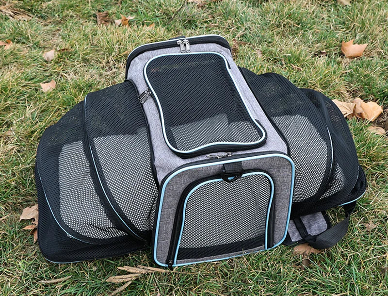 Soft-Sided Dog and Cat Carrier for Kittens – Lightweight & Portable Travel Bag