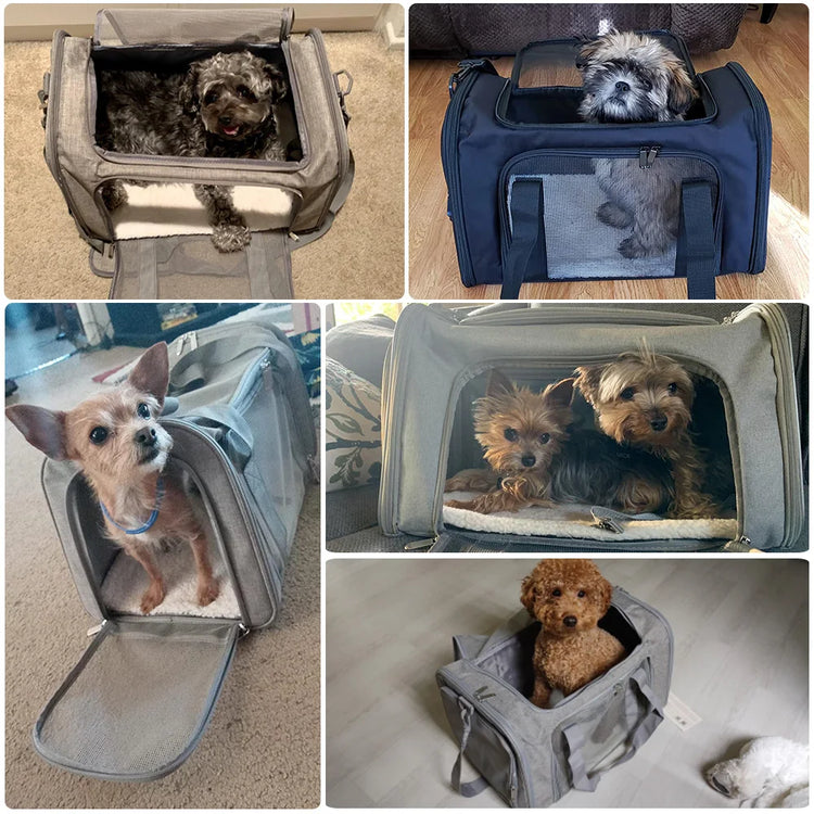Airline Approved Soft-Side Pet Carrier Bag for Small Dogs and Cats – Breathable, Lightweight Travel Backpack
