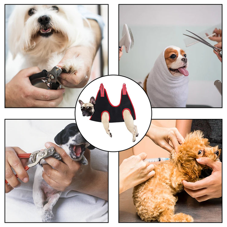 Cat Grooming Nail Cutting | Pet Supplies - Pet Beauty Hammock Hanging | Anti Scratch Bite Fixed Bag - Bath Trimming Restraint Bag