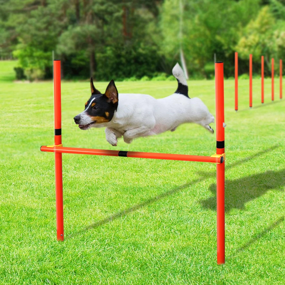 Outdoor Dog Obstacle Training Set – Agility Equipment for All Breeds
