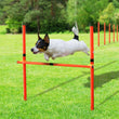 Outdoor Dog Obstacle Training Set – Agility Equipment for All Breeds