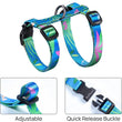 Cat Carrier – Lightweight & Escape-Proof | Adjustable Soft Harness & Leash Set for Walking & Travel | Secure & Breathable Kitten Harness