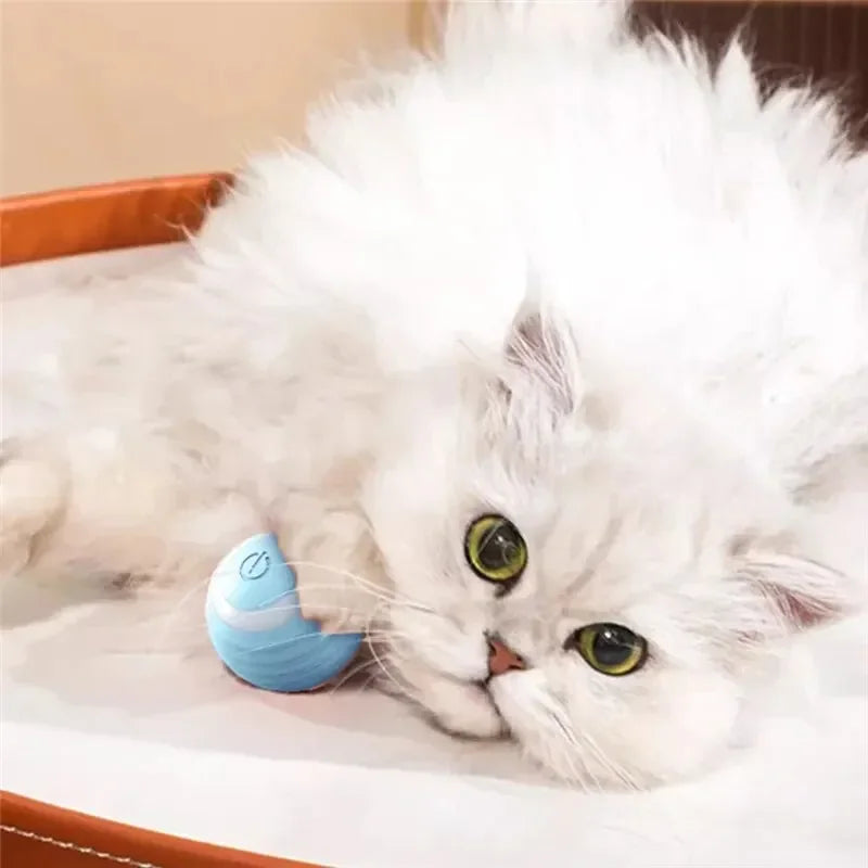 Cat Interactive Ball Toys | Training Self-Moving Kitten Toy | Electric Rolling Magic Ball | Electronic Automatic Cat Toys
