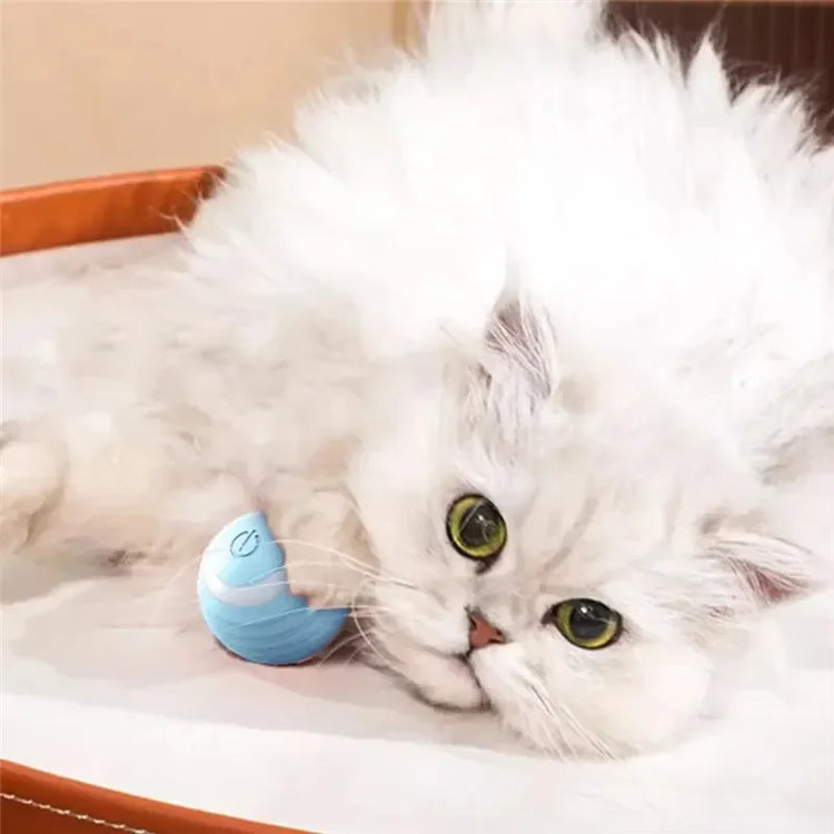 Cat Interactive Ball Toys | Training Self-Moving Kitten Toy | Electric Rolling Magic Ball | Electronic Automatic Cat Toys