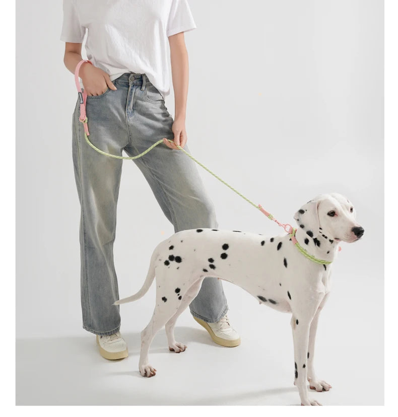 Cute Candy Style Nylon Dog Collar – Waterproof, Reflective, and Customizable