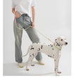 Cute Candy Style Nylon Dog Collar – Waterproof, Reflective, and Customizable