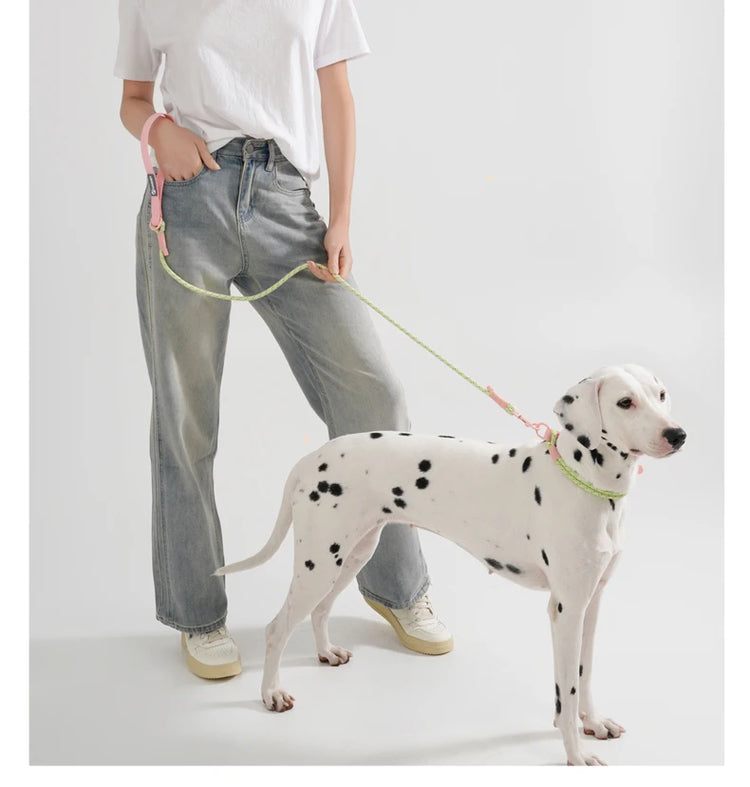 Cute Candy Style Nylon Dog Collar – Waterproof, Reflective, and Customizable