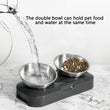 Cat Bowl | Lovely Creative Inclined Feeder | Kitten Puppy Food Bowl | Stainless Steel Pet Dish | 15° Tilt Neck Protector | Anti-Slip Dog Cat Feeder
