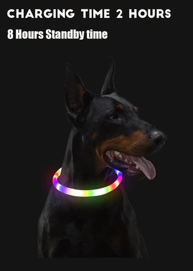 USB Rechargeable LED Luminous Dog Collar – Safety Glowing Night Collar with 3 Light Modes