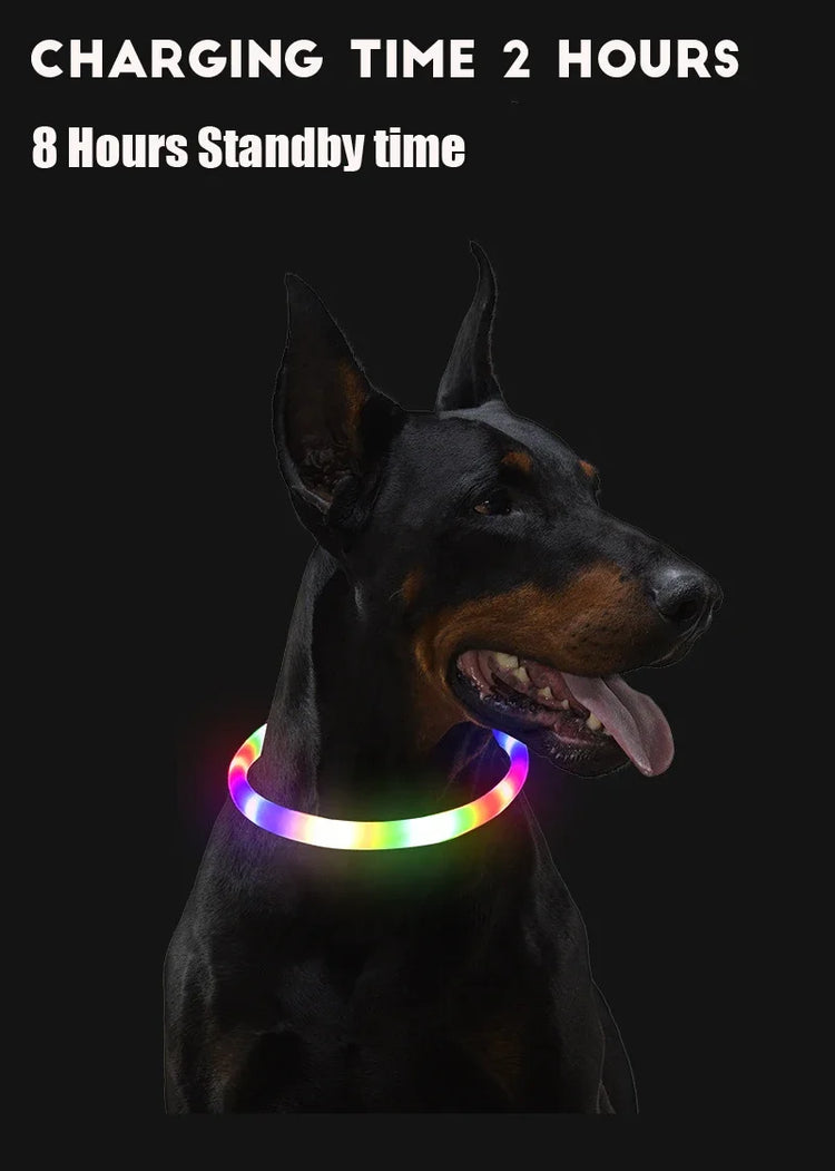 USB Rechargeable LED Luminous Dog Collar – Safety Glowing Night Collar with 3 Light Modes