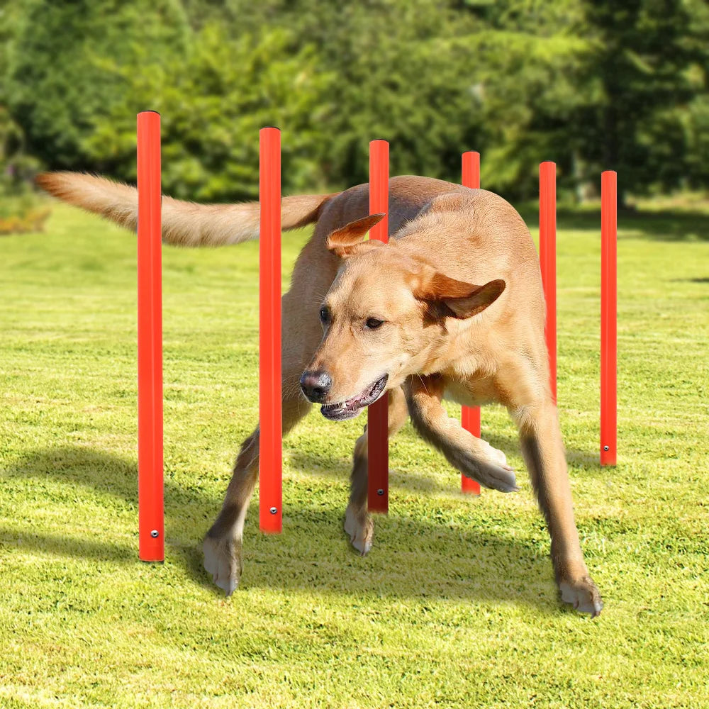 Outdoor Dog Obstacle Training Set – Agility Equipment for All Breeds