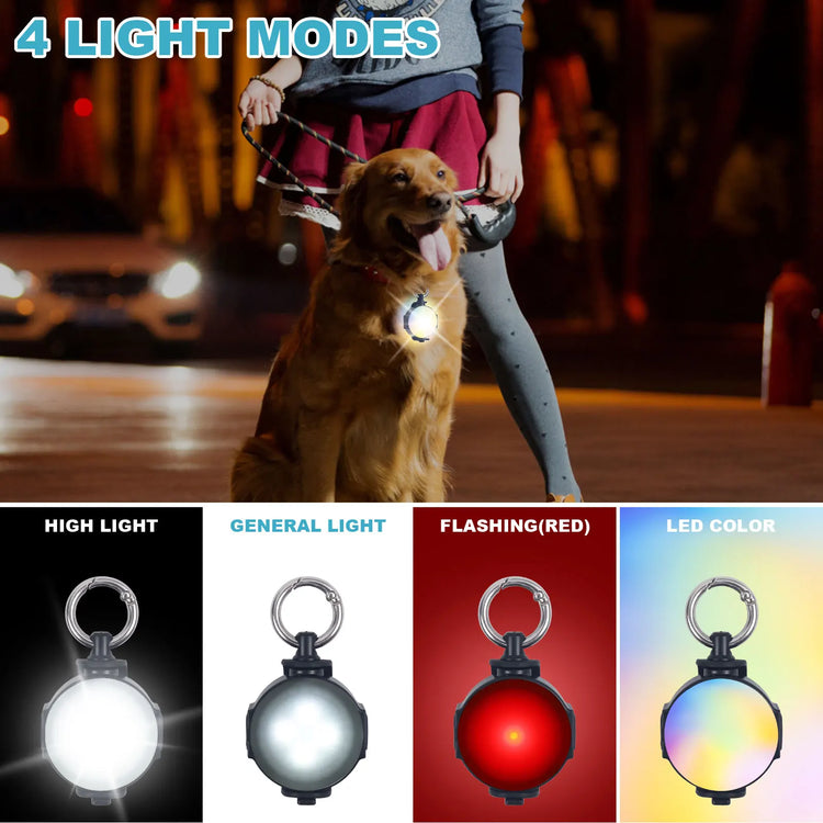 2 Pack LED Dog Collar Lights – USB Rechargeable, Luminous Safety Pendant for Night Walking