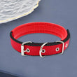 Adjustable Nylon Pet Collar with Traction Ring – Durable and Comfortable Dog Neck Strap