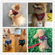 Cat Dog Harness With Lead Leash | Adjustable Vest | Polyester Mesh | Breathable Harnesses | Reflective Strap - Small Dog Cat Accessories