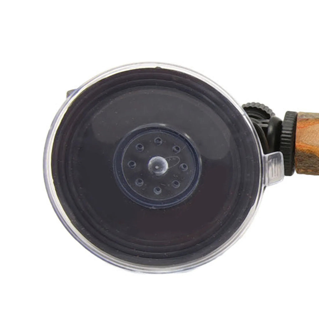 Wood Parrot Perch | Non-Slip Interactive Bird Window Perch with Suction Cups for Small to Medium Birds