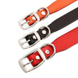 Genuine leather dog collar and leash set – durable and comfortable for small to medium dogs