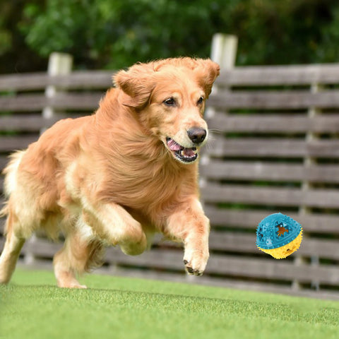 COOLPLAY Dog Chew Toy – Interactive Teeth Cleaning Sound Ball with Treat Dispensing