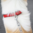 Adjustable Nylon Pet Collar with Traction Ring – Durable and Comfortable Dog Neck Strap