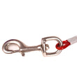Heavy-Duty Double Dog Leash – Durable Steel Wire, Chew-Resistant, Quick Release