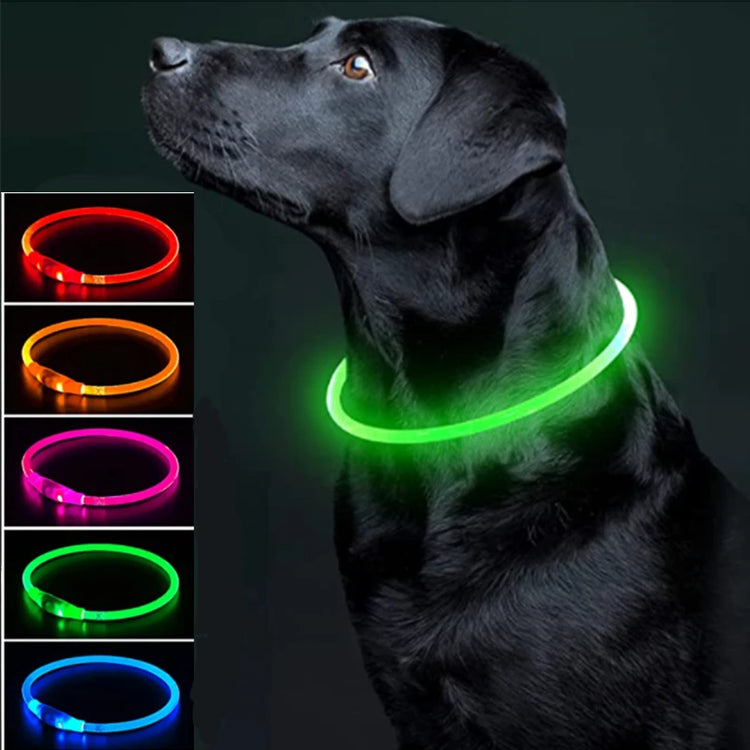 LED Luminous Dog Collar USB Charging Flashing Glowing Safety Anti-Lost Collar for Cats and Dogs          Ask ChatGPT
