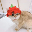 Pet Headgear | Cat and Dog Knitted Hat | Cosplay Props | Pet Headwear | Funny Pet Transformation Clothing