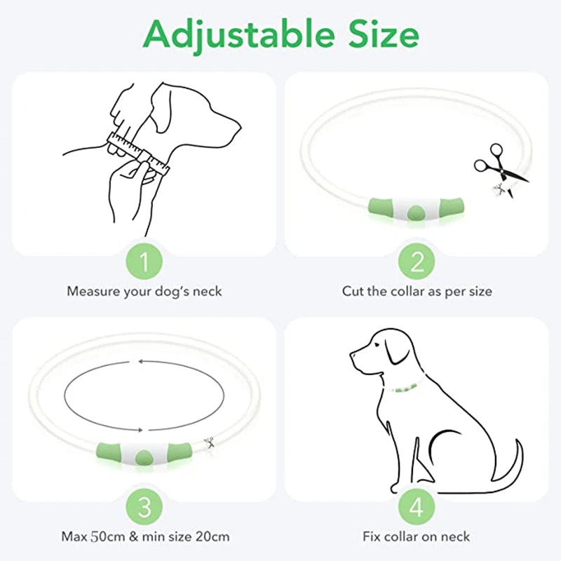 LED Luminous Dog Collar USB Charging Flashing Glowing Safety Anti-Lost Collar for Cats and Dogs          Ask ChatGPT