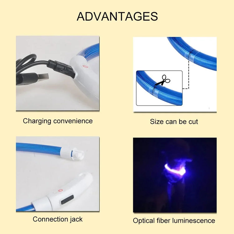 USB Rechargeable LED Luminous Dog Collar – Safety Glowing Night Collar with 3 Light Modes