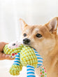 Plush Dog Toy Animals Shape Interactive Dog Chew Toys Corduroy Dog Toys for Small Large Dogs Puppy Pets Training Accessories