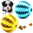 Interactive Rubber Dog Ball Toy – Chew, Clean Teeth & Snack Dispenser