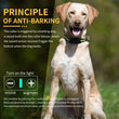 Automatic Anti-Bark Dog Training Collar – USB Rechargeable with Sound & Shock Modes