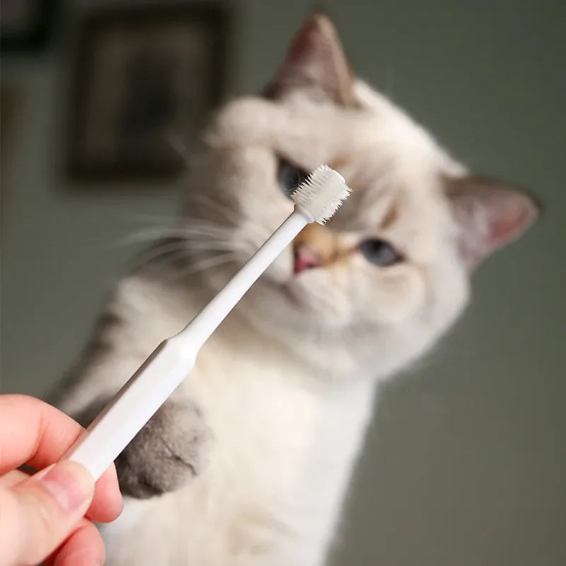 Cat Toothbrush & Toothpaste Set | Soft Brush for Teeth Cleaning | Pet Oral Care for Cats & Small Pets