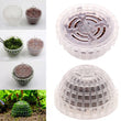 Aquarium Moss Ball Filter – Aquatic Plant Holder and Water Purifier for Fish Tanks and Shrimp Cylinders