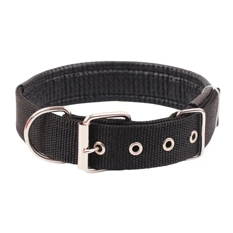 Adjustable Nylon Pet Collar with Traction Ring – Durable and Comfortable Dog Neck Strap
