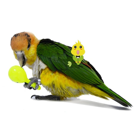 3pcs Bird Toys | Parrot Rattle Bell - Sand Hammer Maracas | Bird Bite Wisdom Interactive Training Toy - Pet Bird Toys - Color Random