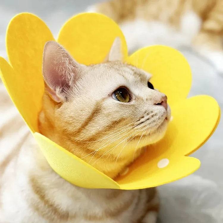 Pet Recovery Collar | Protective Cone for Cats & Dogs | Anti-Bite Lick Wound Healing | Soft Felt E-Collar | Post-Surgery Neck Cone