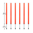 Portable Dog Agility Training Set – Outdoor Jumping & Obstacle Equipment