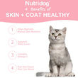 Skin & Coat Cat Chews | Omega 3, Vitamin E, Biotin Supplements | Healthy Skin & Glossy Coat | Anti-Shedding Support | Salmon Flavor