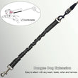 Shock Absorber Dog Leash – Heavy-Duty Elastic Bungee Training Lead for Medium Dogs