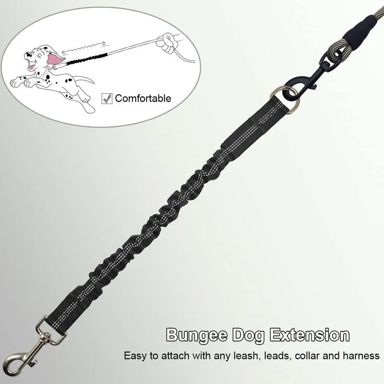 Shock Absorber Dog Leash – Heavy-Duty Elastic Bungee Training Lead for Medium Dogs