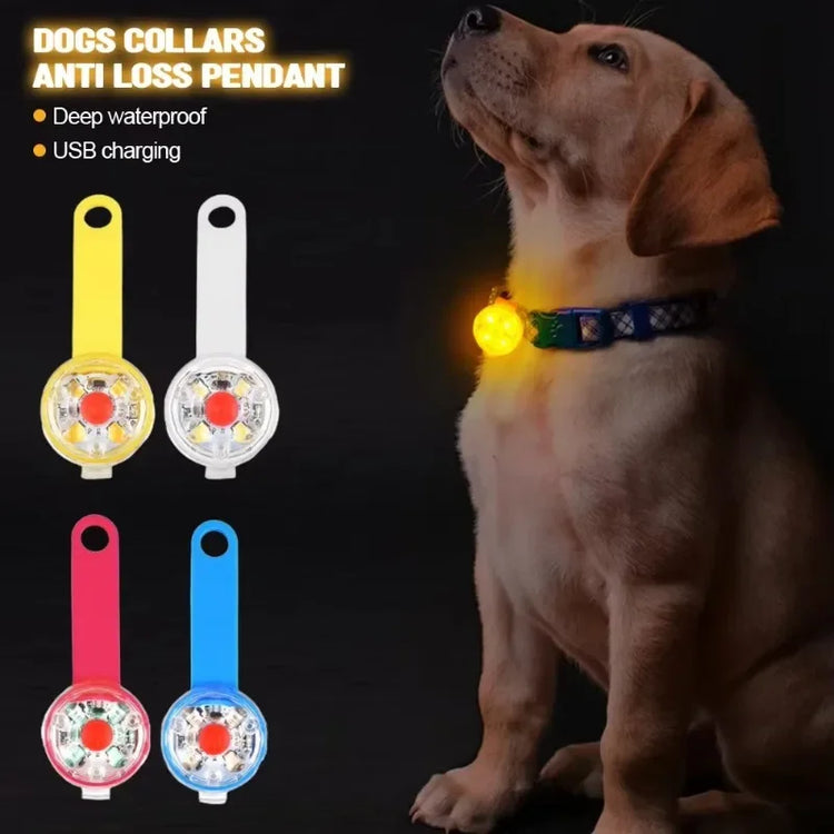 LED Glowing Dog Collar – USB Rechargeable Safety Light Collar