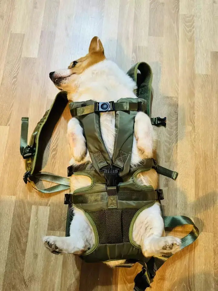 Chest Pet Bag Large Dog Backpack – Convenient and Comfortable Carrier for Medium Breeds