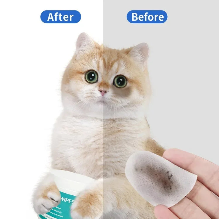 100pcs Pet Tear Stain Remover Wipes – Gentle Eye Area Cleaning Pads for Dogs & Cats