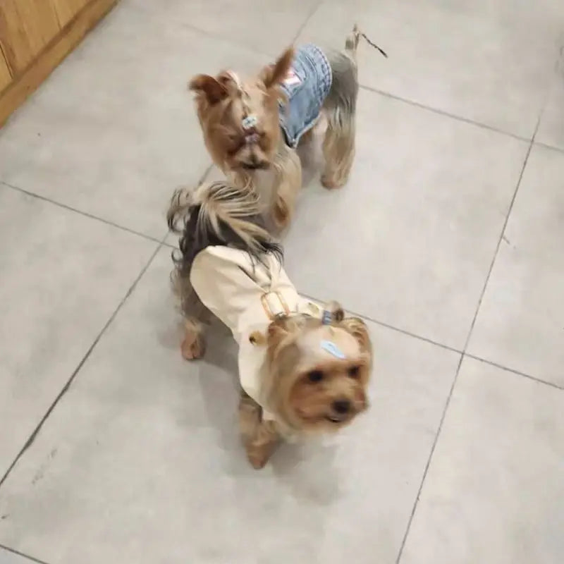 British Style Winter Trench Coat for Small Puppies | Thick Warm Dog Jacket & Hoodie