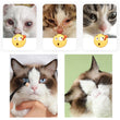 Anti-Static Pet Tear Brush | Cat Grooming Tool | Eye Protection Brown Hair Remover | Dogs/Cats Care Supplies