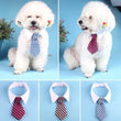 2023 Dog Cat Grooming | Striped Bow Tie - Adjustable Animal Collar | Christmas Pet Necktie | Formal White Collar for Dogs & Cats | Party & Wedding Wear