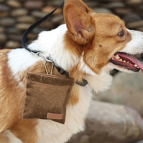 Dog Training Snack Bag – Portable Treat Pouch for Outdoor Travel & Training